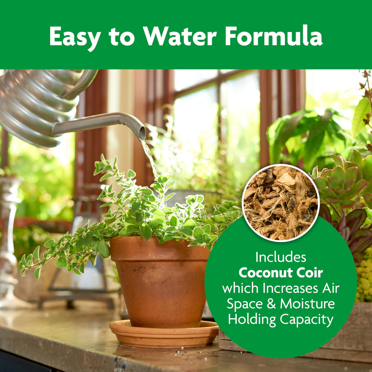 Miracle-Gro Indoor Potting Mix used for repotting indoor plants.