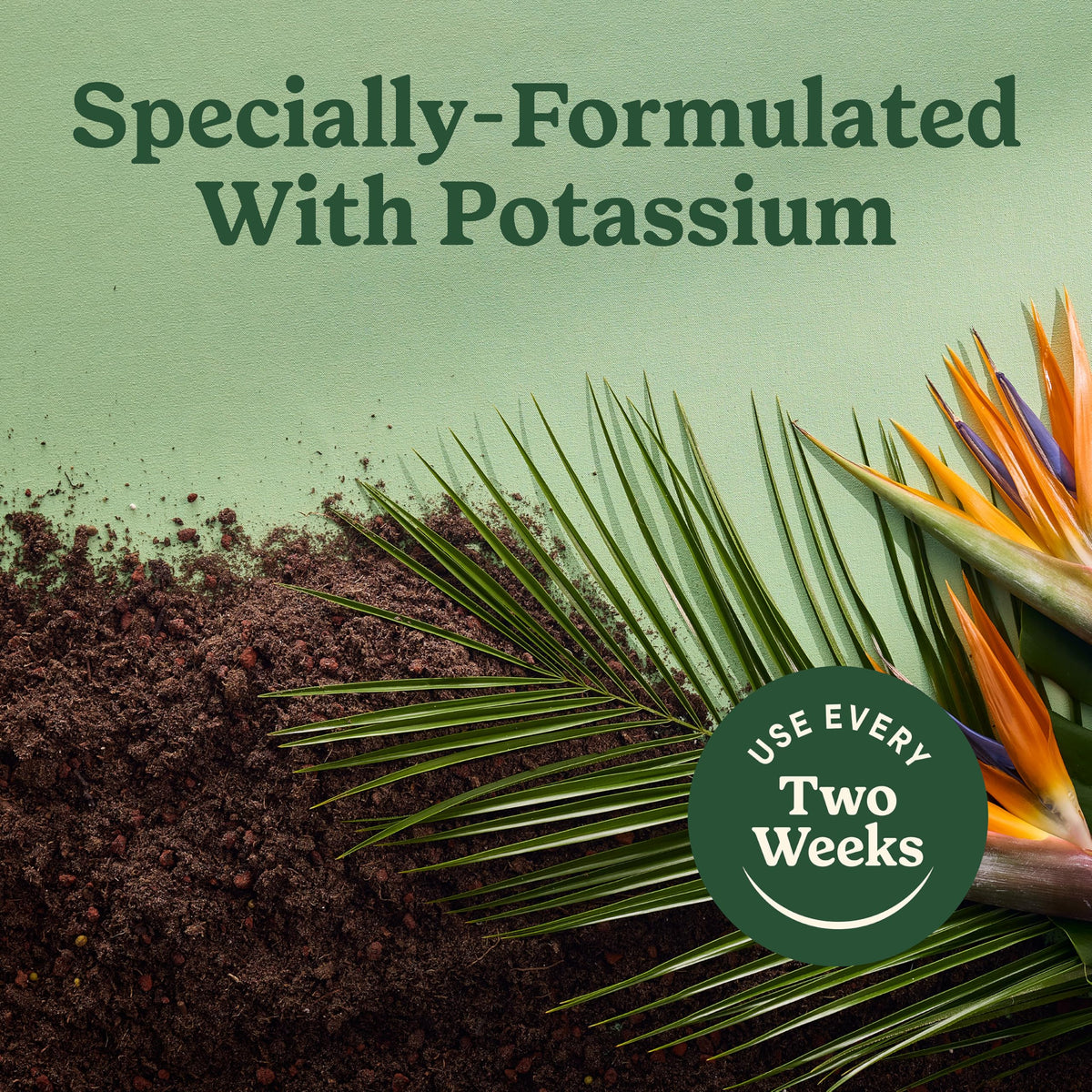 Packaging with Miracle-Gro Indoor Potting Mix for Tropicals as a recommended companion.