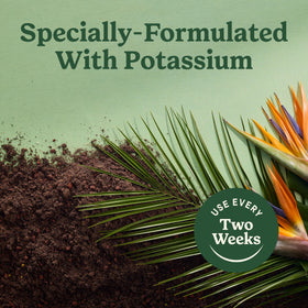 Packaging with Miracle-Gro Indoor Potting Mix for Tropicals as a recommended companion.