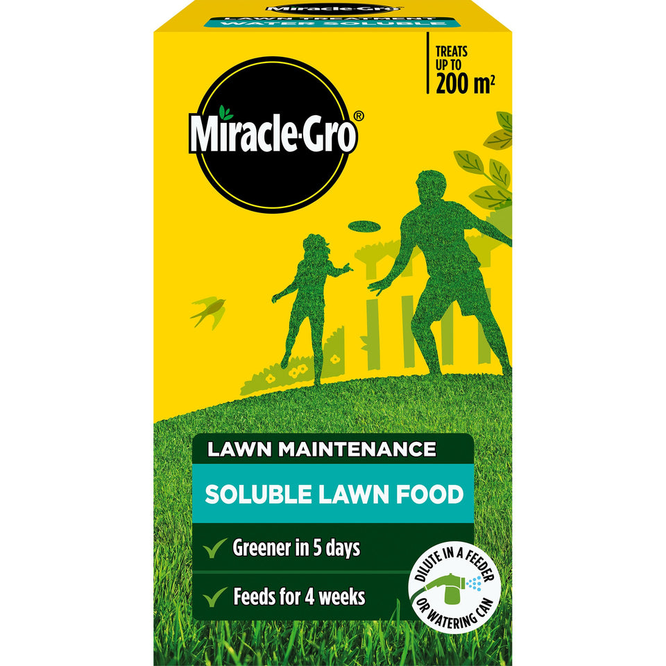Miracle-Gro Lawn Food 1kg bag ready for simple lawn feeding and rapid color boost.