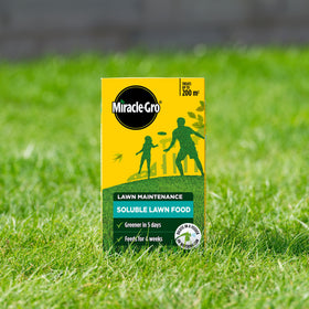 Miracle-Gro Lawn Food being poured with a watering can for simple, even coverage.