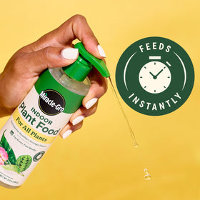 Miracle-Gro Leaf Protect & Shine spray being applied to a hard-leaved plant.
