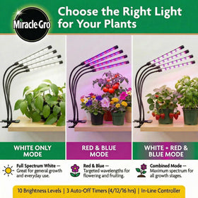 Miracle-Gro Auto Timer maintains consistent daily light cycles when you’re away.