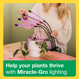Miracle-Gro Full-Spectrum option supports general growth and flowering when needed.