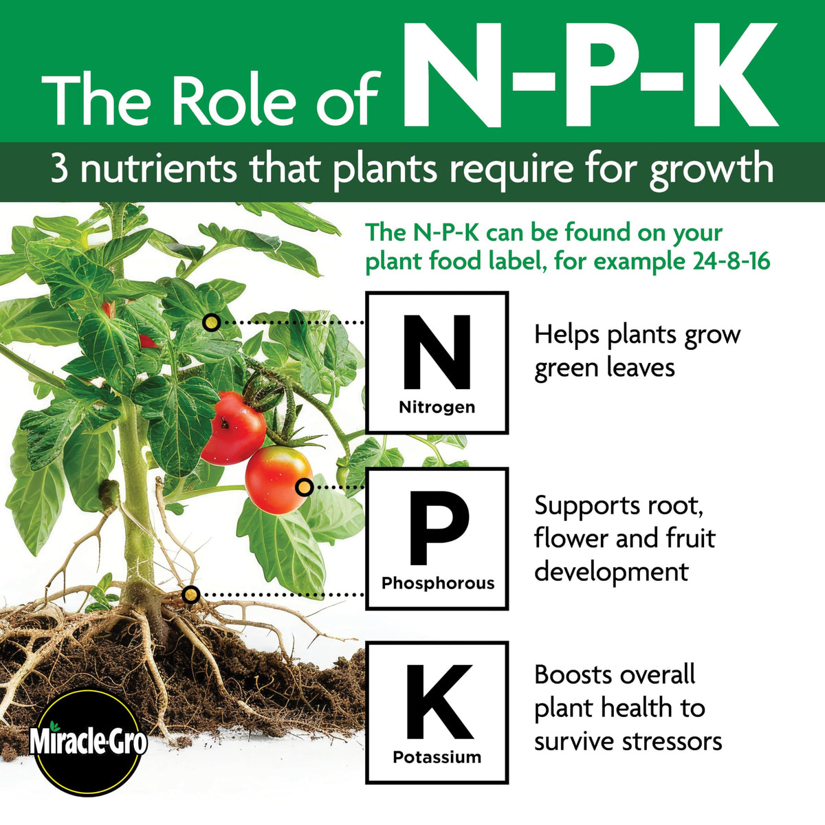 Bundle makes biweekly feeding simple for outdoor and indoor plants.