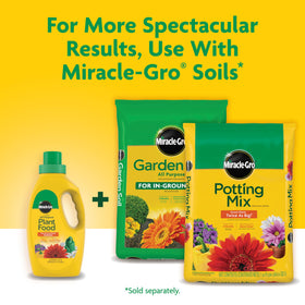 Flowers being fed with Miracle-Gro Liquid All Purpose Plant Food for vibrant blooms