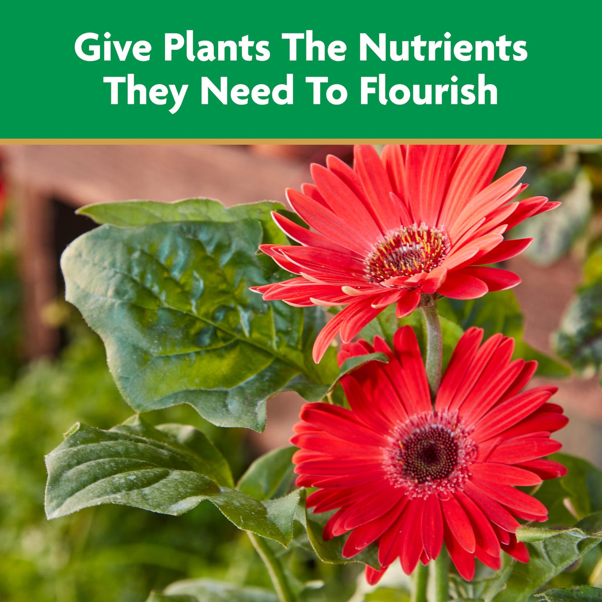 Cap-to-first-line measurement used to dilute Miracle-Gro for garden use