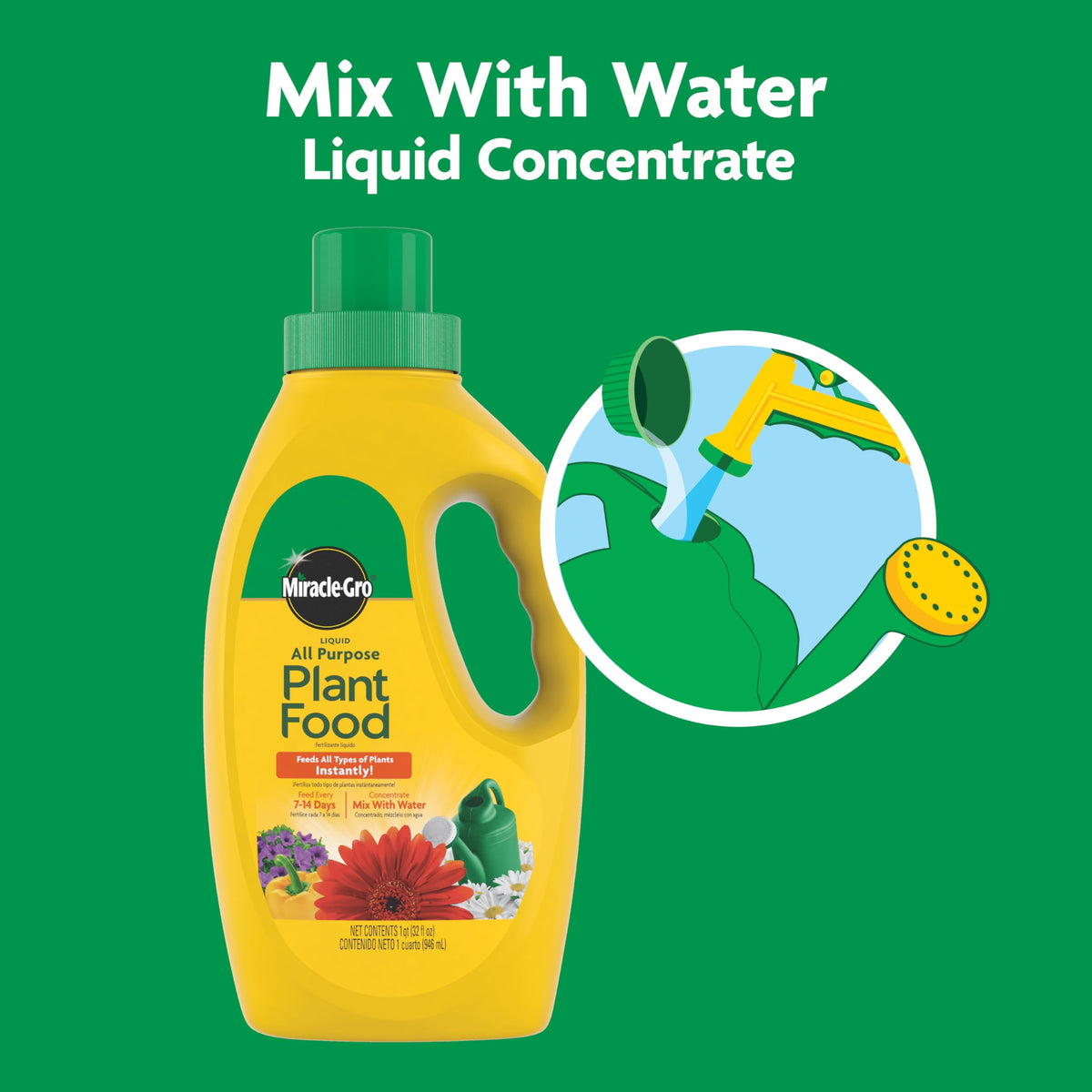 Garden-ready Miracle-Gro feed diluted with water to cover 20 sq ft