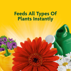 Pouring Miracle-Gro Liquid All Purpose Plant Food into a watering can for quick feeding