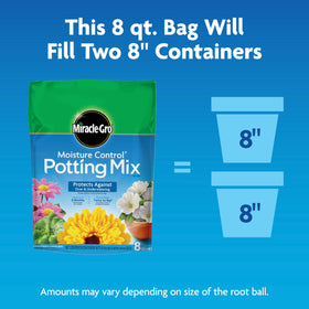 Annuals and perennials thriving in outdoor containers with Miracle-Gro