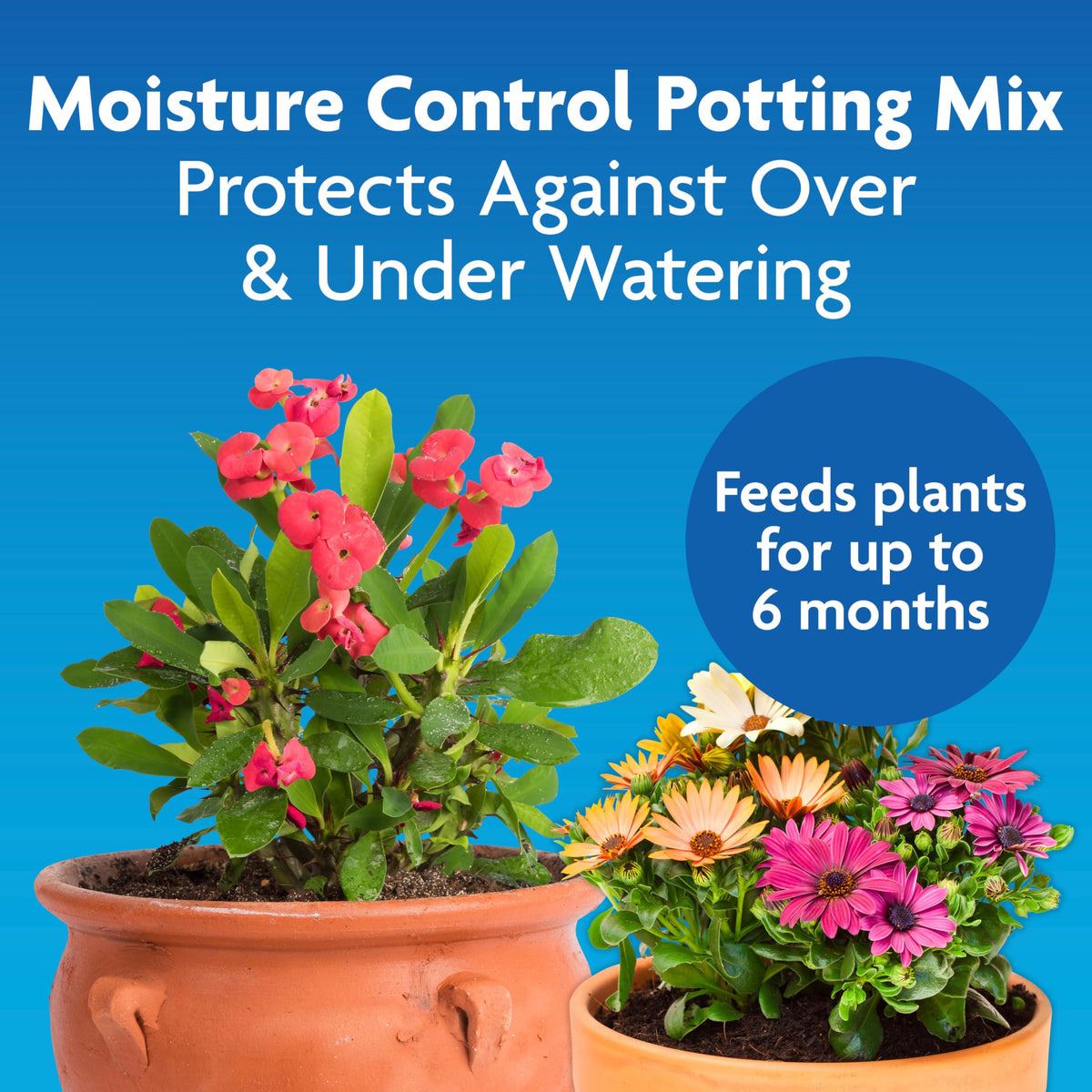 Graphic showing AquaCoir formula enhancing water absorption for container plants