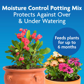 Graphic showing AquaCoir formula enhancing water absorption for container plants