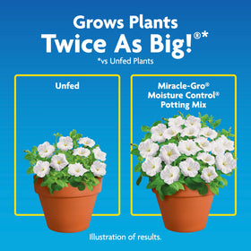 Flower pots thriving with Miracle-Gro moisture control potting mix