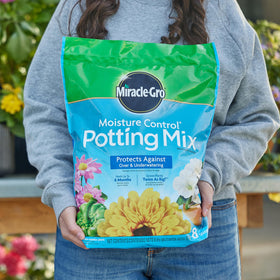 Two 8 qt Miracle-Gro Moisture Control potting mix bags in a 2-pack