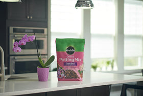 Miracle-Gro Orchid care setup shows easy repotting with the coarse blend.