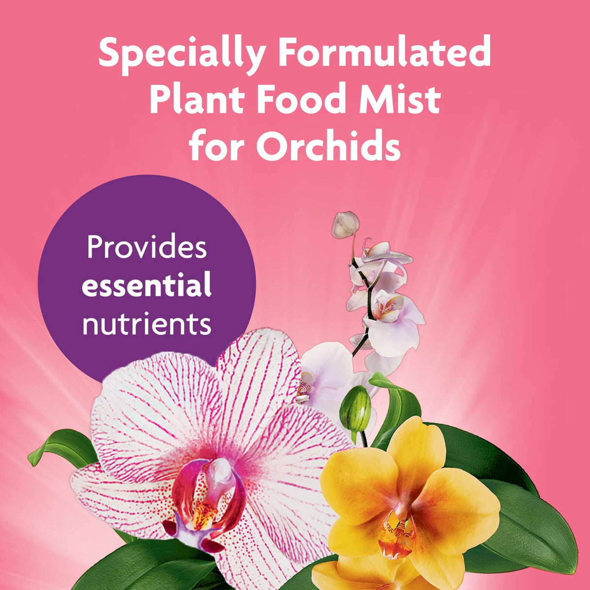 Application scene showing Miracle-Gro Mist on orchid roots.