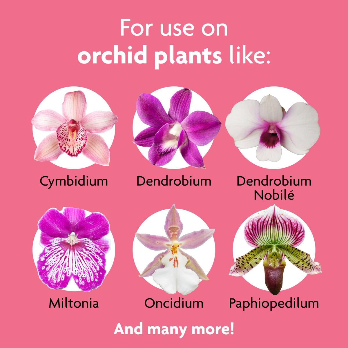 Miracle-Gro Orchid Mist label closeup with product details