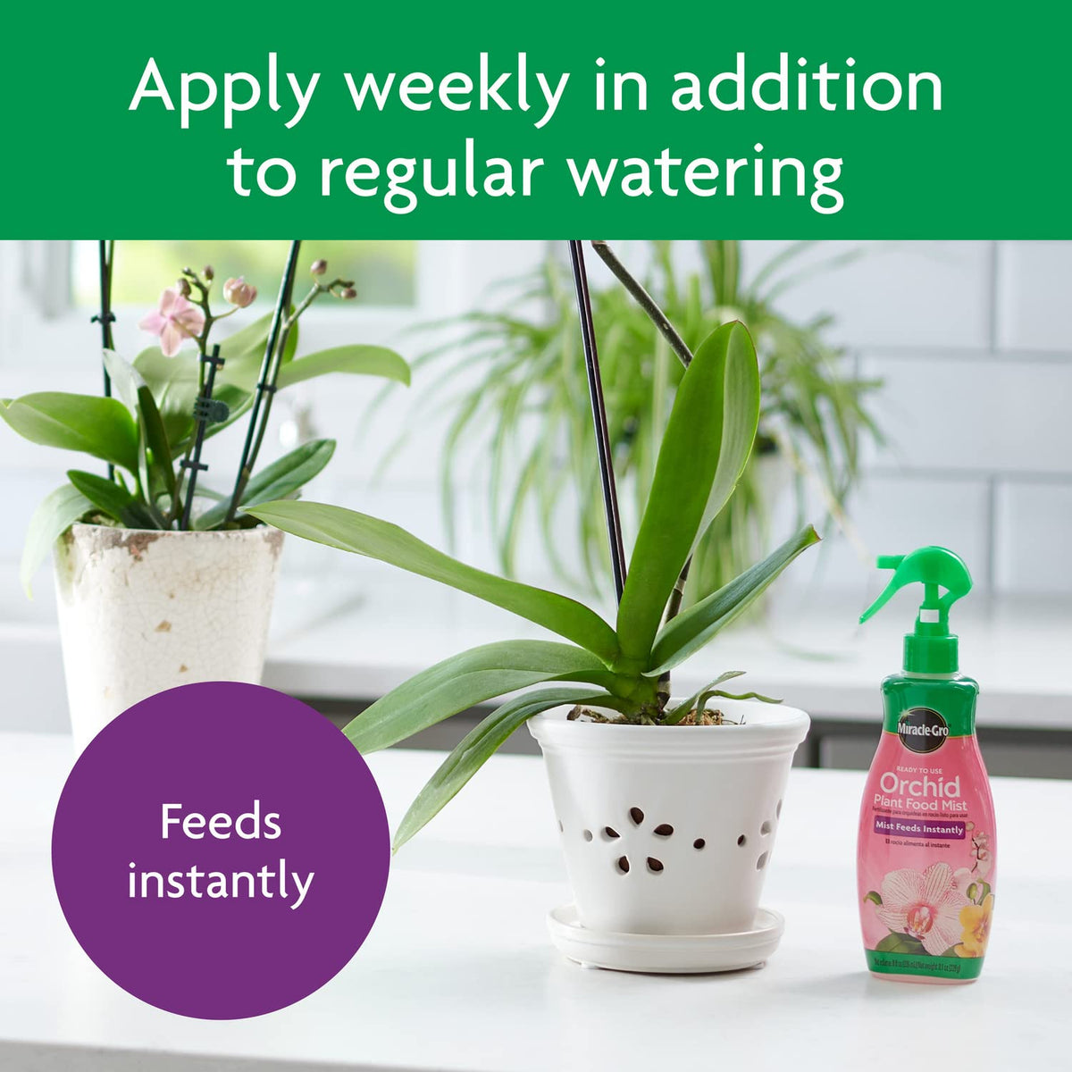 Orchid Mist bottle placed on shelf for care routines.