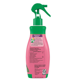 Spraying orchid leaves with Miracle-Gro Mist for quick nourishment.