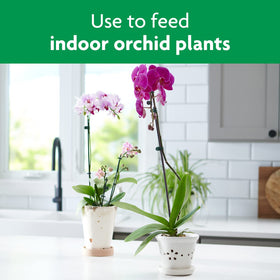 Varieties of orchids thriving with Miracle-Gro Orchid Mist.