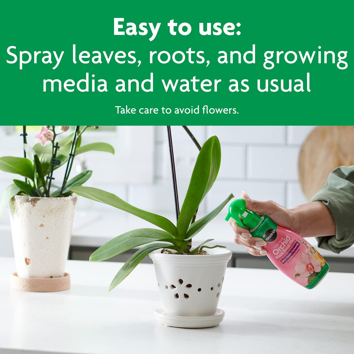 Weekly use with Miracle-Gro Orchid Mist for healthy growth.