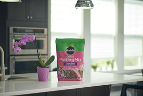 Miracle-Gro Orchid Potting Mix Coarse bundle packaging ready for purchase.
