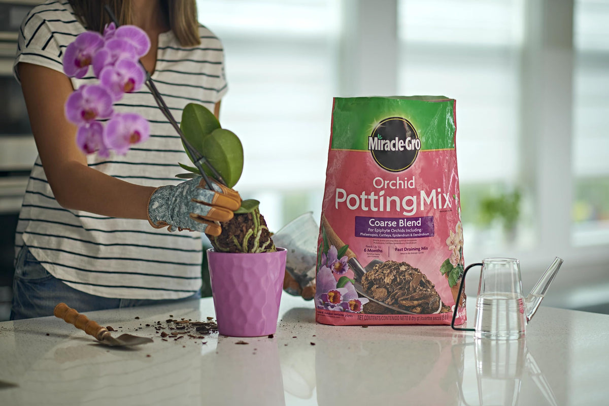 Miracle-Gro Orchid Potting Mix Coarse bag next to an 8-inch pot.