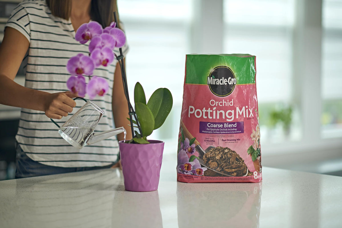 Miracle-Gro Orchid Potting Mix Coarse for epiphyte orchids like Phalaenopsis.