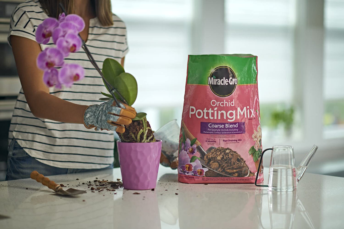 Miracle-Gro Orchid Potting Mix coarse feeds up to six months for vibrant orchids.