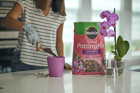 Miracle-Gro Orchid Potting Mix Coarse for rootball placement during repotting.
