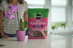 Miracle-Gro Orchid Potting Mix packaging varies between batches.