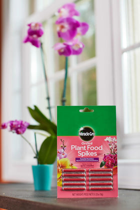 Miracle-Gro Orchid Spikes packaging showing a two-month feeding cycle for orchids.