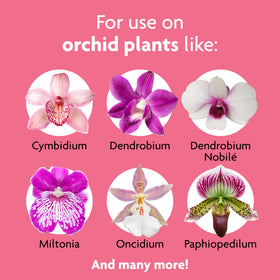 Miracle-Gro Orchid Spikes half-pressed into potting mix for even distribution that nourishes.