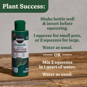 Miracle-Gro Organic Indoor Plant Food applied to large pots for robust growth