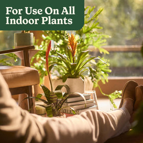 Miracle-Gro Organic Indoor Plant Food supporting a lush plant family