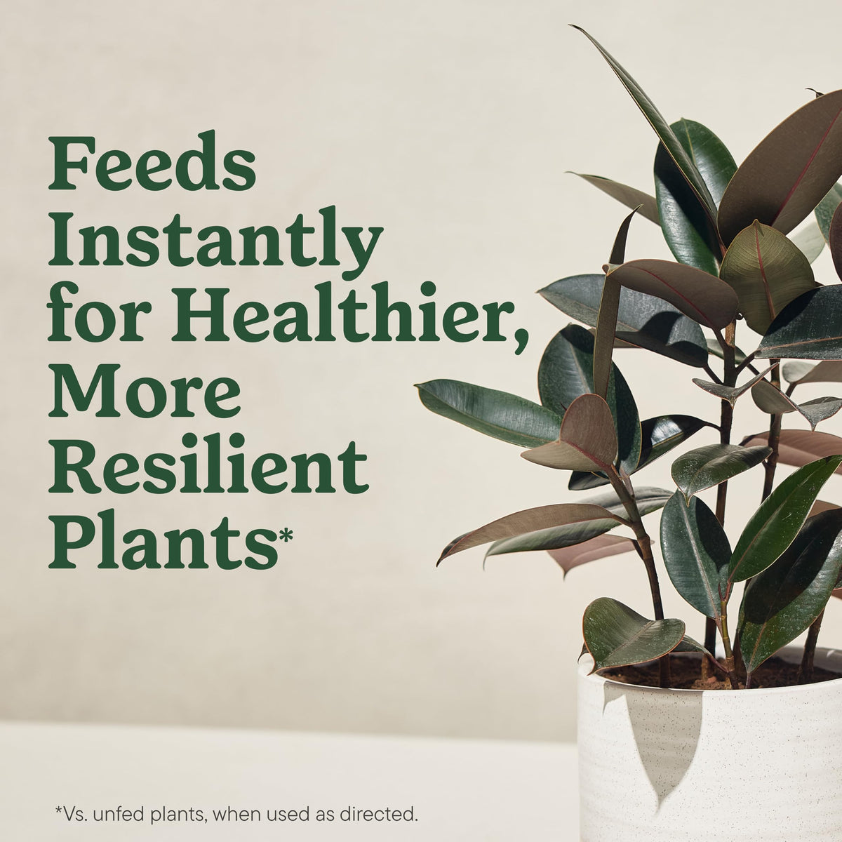 Miracle-Gro Organic Indoor Plant Food pouring into water for feeding while watering