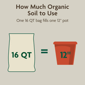 Miracle-Gro Organic Indoor Potting Mix 12-inch container ready for planting.