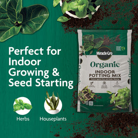 Miracle-Gro Organic Indoor Potting Mix with coir boosts air space and moisture retention for roots.