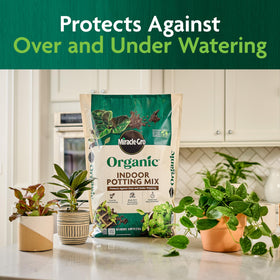 Miracle-Gro Organic Indoor Potting Mix ideal for seed starting and early root development.