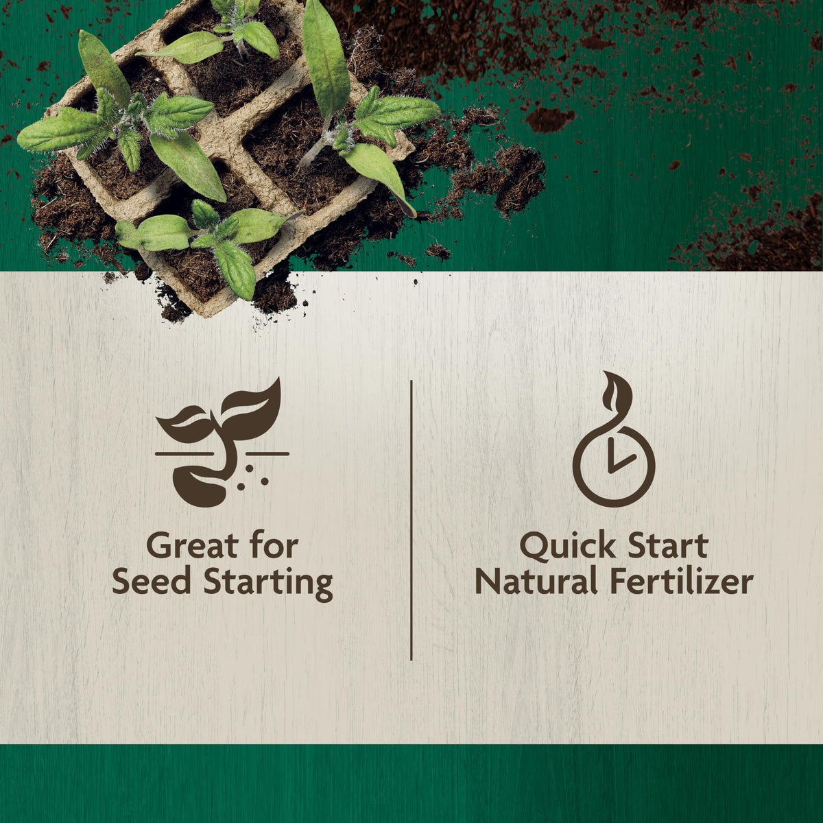 Miracle-Gro Organic Indoor Potting Mix transplanting scene shows easy root-ball placement.