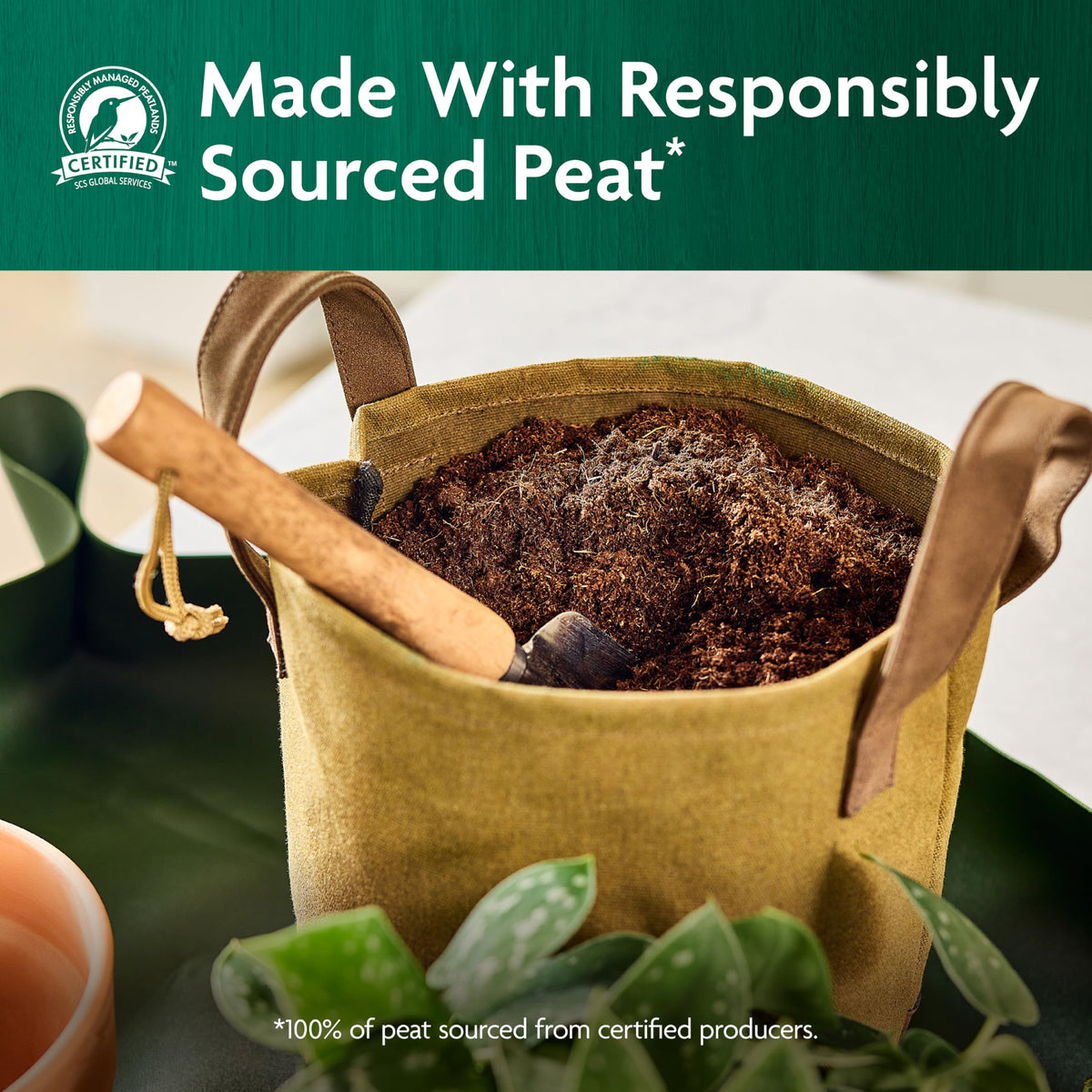 Miracle-Gro Organic Indoor Potting Mix for houseplants supports healthy growth and vibrant leaves.
