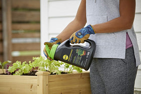 Soil enriched with Miracle-Gro organic raised bed nutrition
