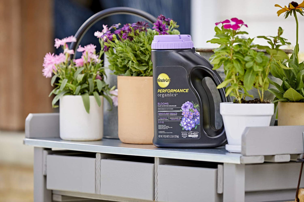 Miracle-Gro Performance Organics Blooms granules in container garden promoting blooms