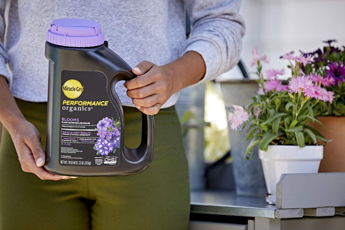 Miracle-Gro Performance Organics Blooms granules being watered into soil for uptake