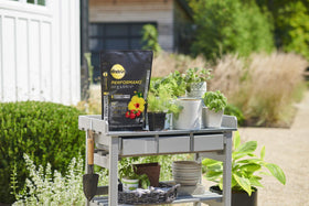 Miracle-Gro Performance Organics container mix 6qt bag ideal for flowering containers.