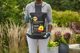 Miracle-Gro Performance Organics container mix 6qt bag ideal for vegetables in containers.