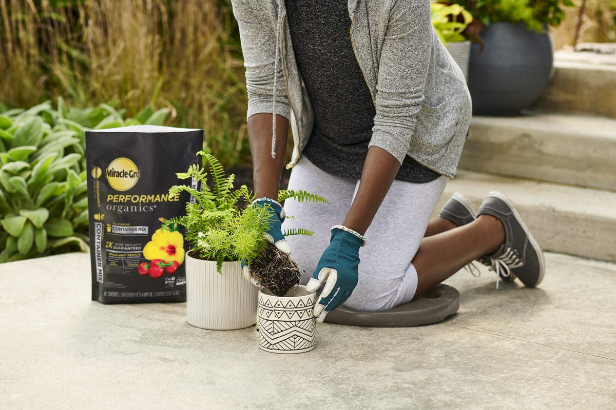 Miracle-Gro Performance Organics container mix 6qt bag for multipurpose container gardening use.