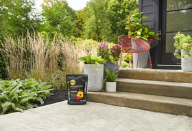 Miracle-Gro Performance Organics container mix 6qt bag two-pack for multiple pots.