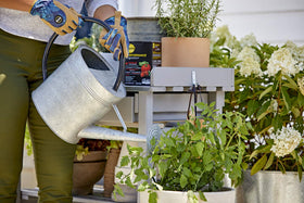 Miracle-Gro Performance Organics Edibles covers up to 265 sq ft with Garden Feeder.