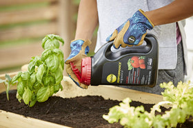 Miracle-Gro Performance Organics Edibles label highlights organic ingredients and OMRI listing.